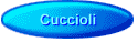 Cuccioli